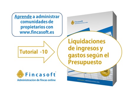 foto entrada blog_noticias/decimo-tutorial-las-liquidaciones-de-ingresos-y-gastos-segun-el-presupuesto/imagen.jpg